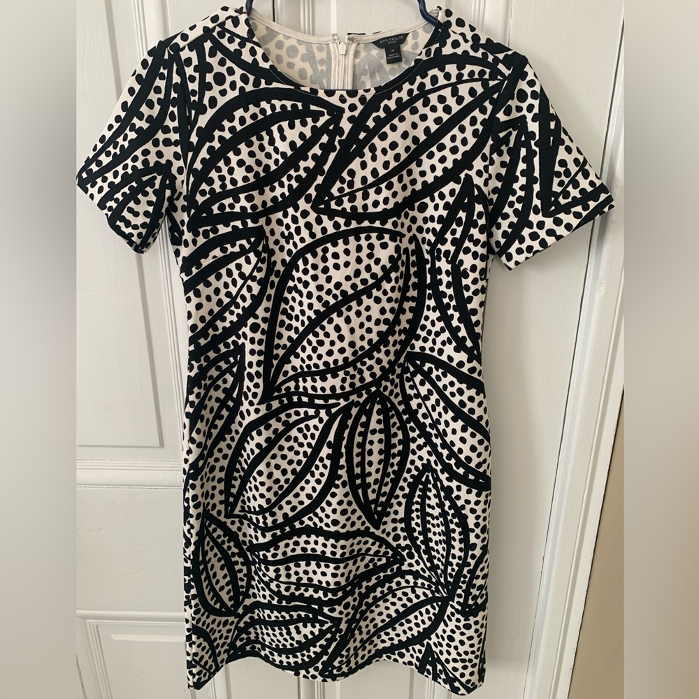 Ann Taylor Black and White Leaf-Print Sheath Dress
